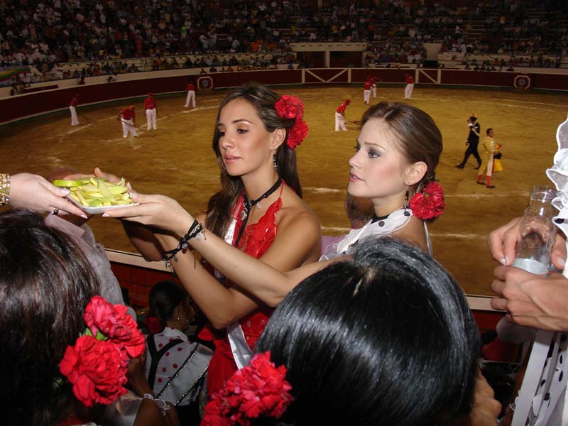 Bullfight-066